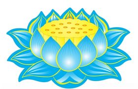 莲花上柒