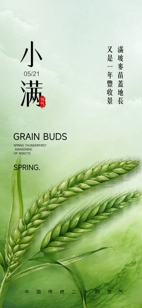 小满二十四节气海报