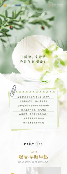 白露养生长图