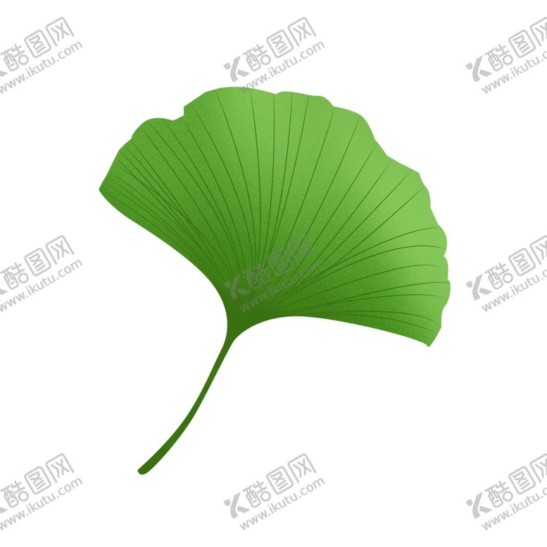 编号：45679409270313079806【酷图网】源文件下载-银杏叶