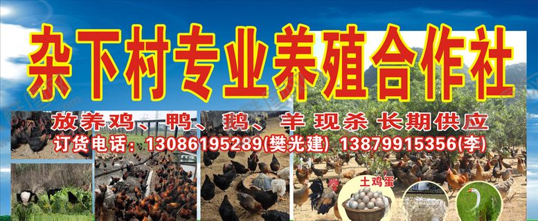 编号：34399209191929323593【酷图网】源文件下载-养殖场广告