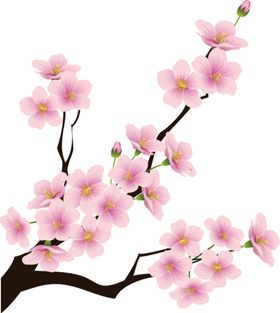 中国风水墨梅彩花飞鸟元宵冬
