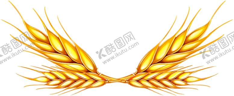 编号：52998005191135225910【酷图网】源文件下载-麦穗