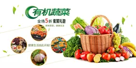 有机蔬菜