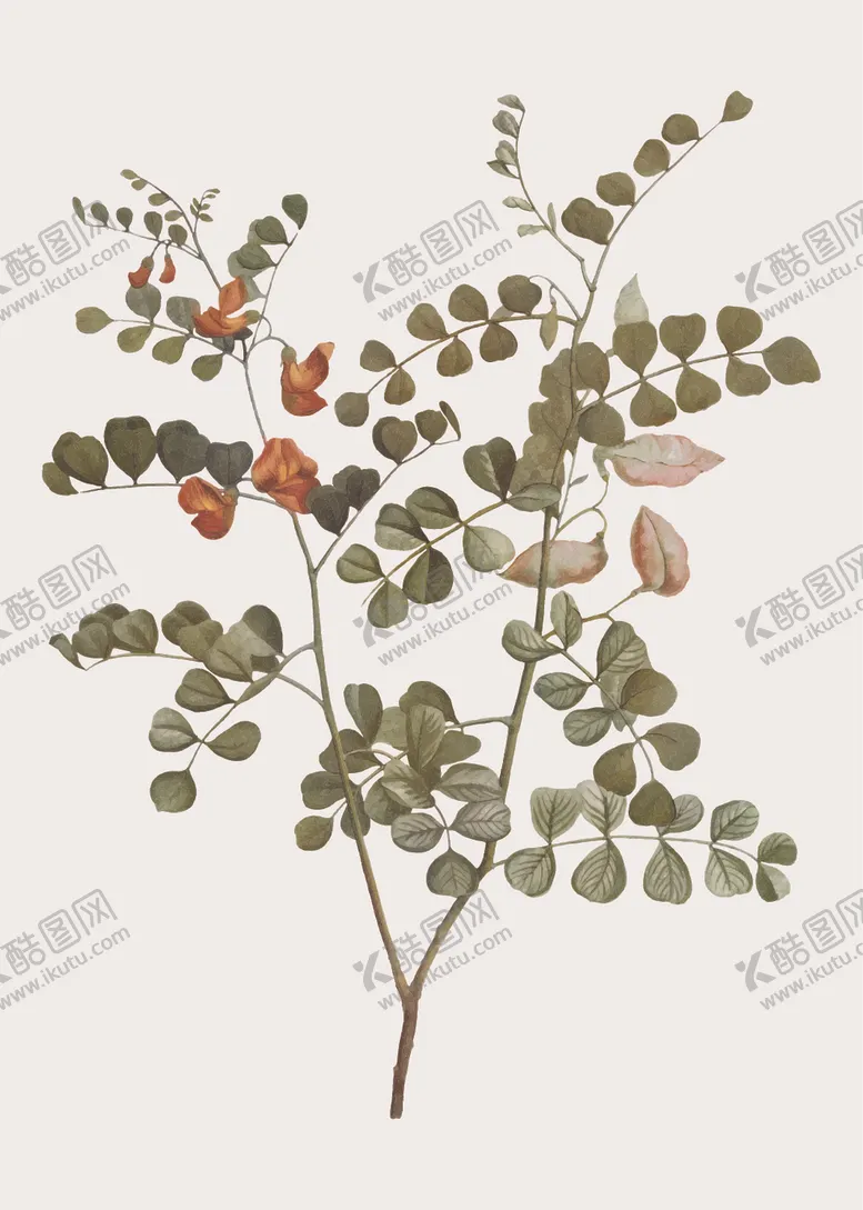 编号：63776407040606033019【酷图网】源文件下载-花纹