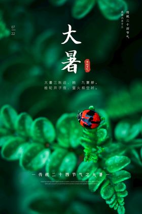 二十四节气大暑海报插画