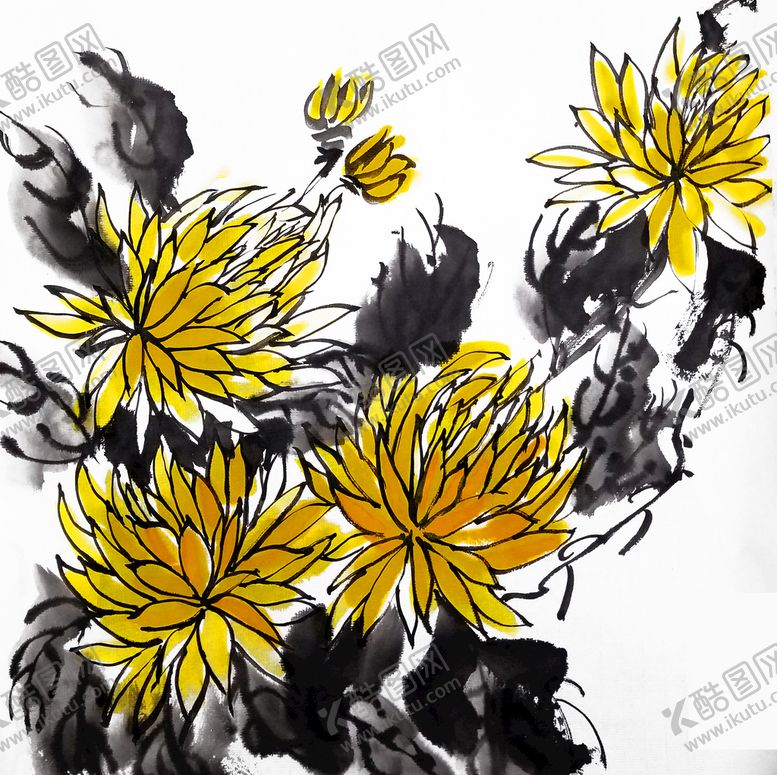 编号：12036409250856187105【酷图网】源文件下载-国画 菊花