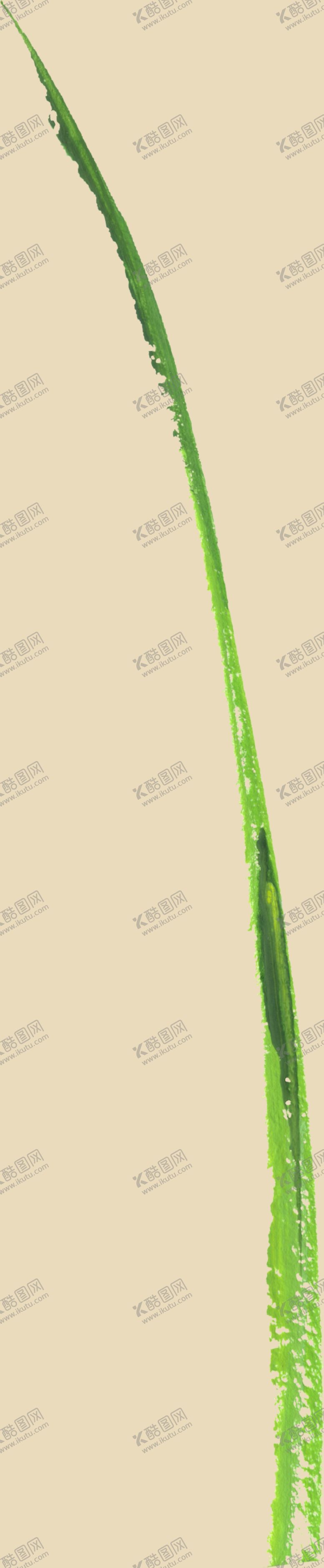 编号：16291310262149238134【酷图网】源文件下载-绿叶