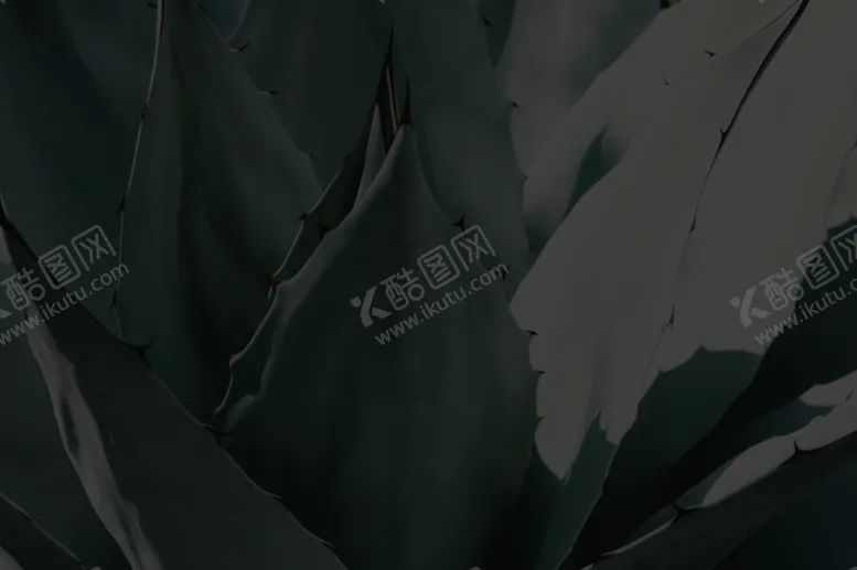编号：54112906261738506249【酷图网】源文件下载-黑色背景