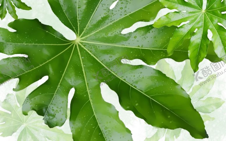 编号：49866010051950413363【酷图网】源文件下载-文艺北欧背景墙壁纸