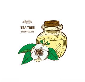 植物线稿