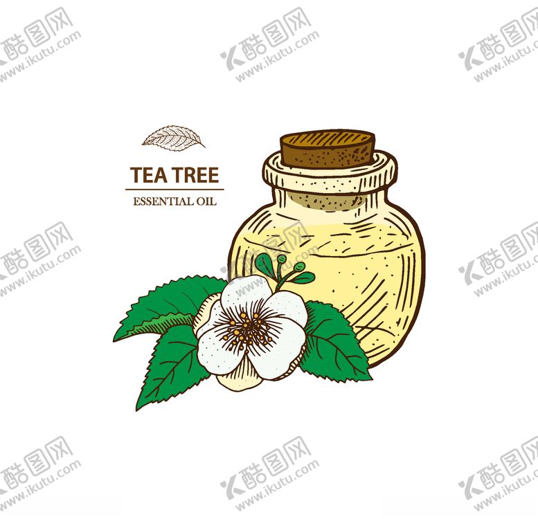 编号：17490906260653432974【酷图网】源文件下载-植物线稿