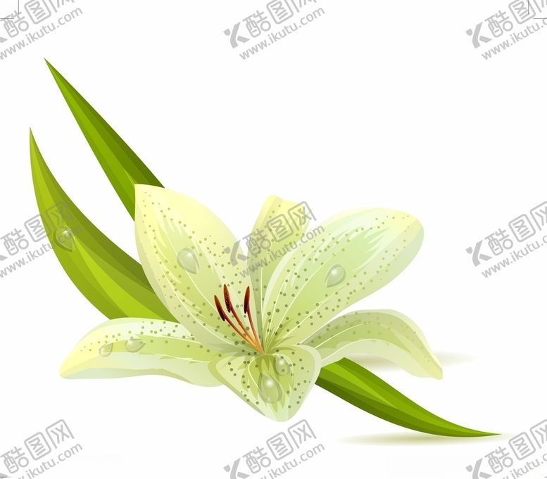 编号：23989004301048429720【酷图网】源文件下载-花朵矢量