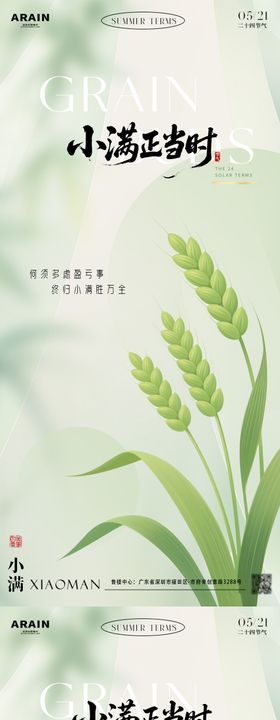 小满麦穗插画海报