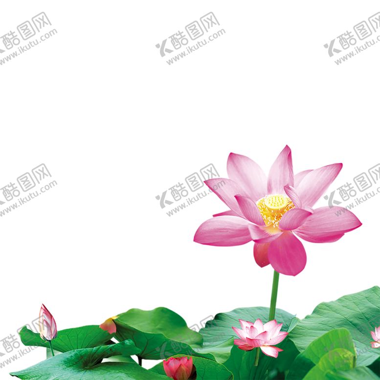 编号：98803610100541321482【酷图网】源文件下载-手绘植物花卉