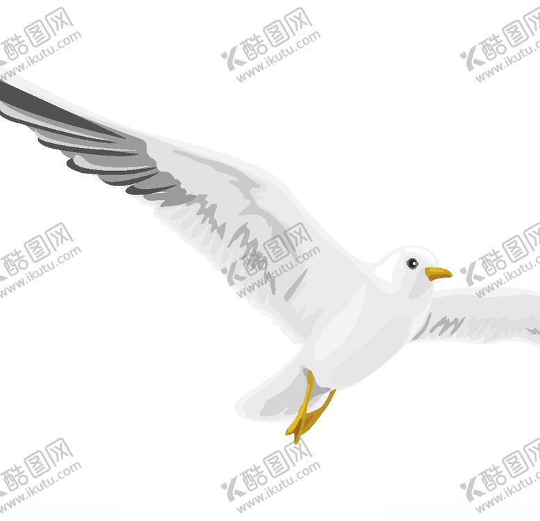 编号：32408010191937293166【酷图网】源文件下载-飞翔的鸟