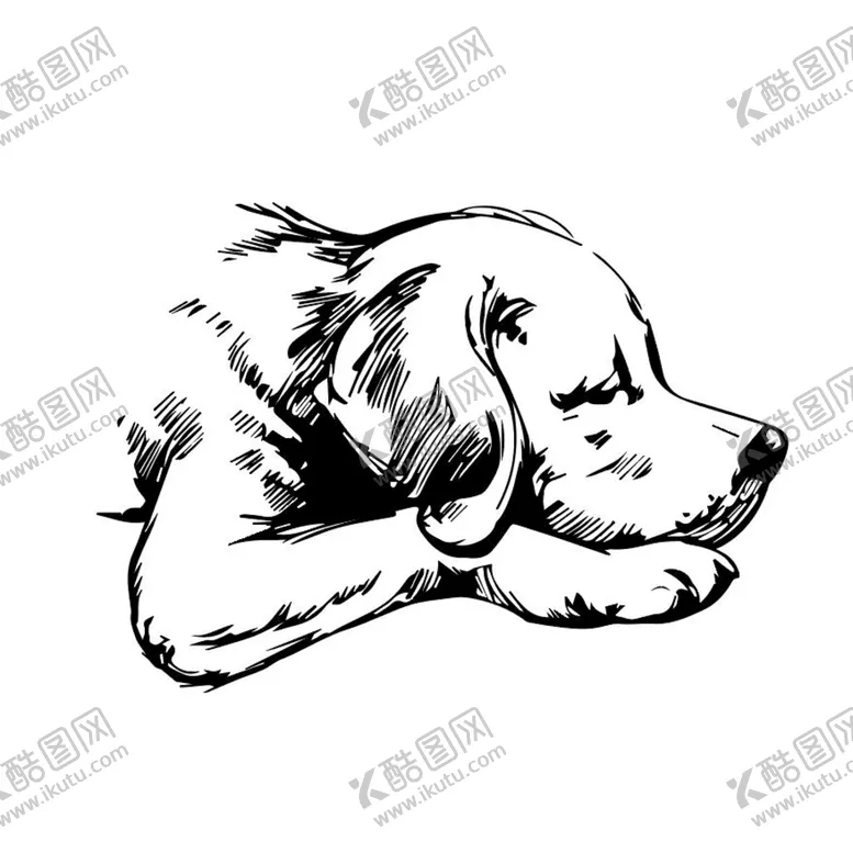 编号：85146309141433300168【酷图网】源文件下载-狗狗线条手绘矢量图