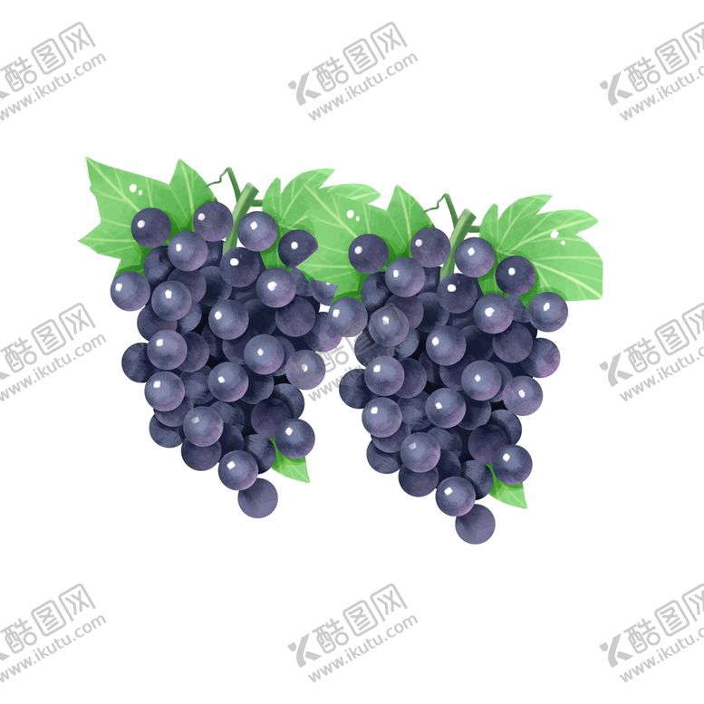 编号：71054210020308562503【酷图网】源文件下载-葡萄