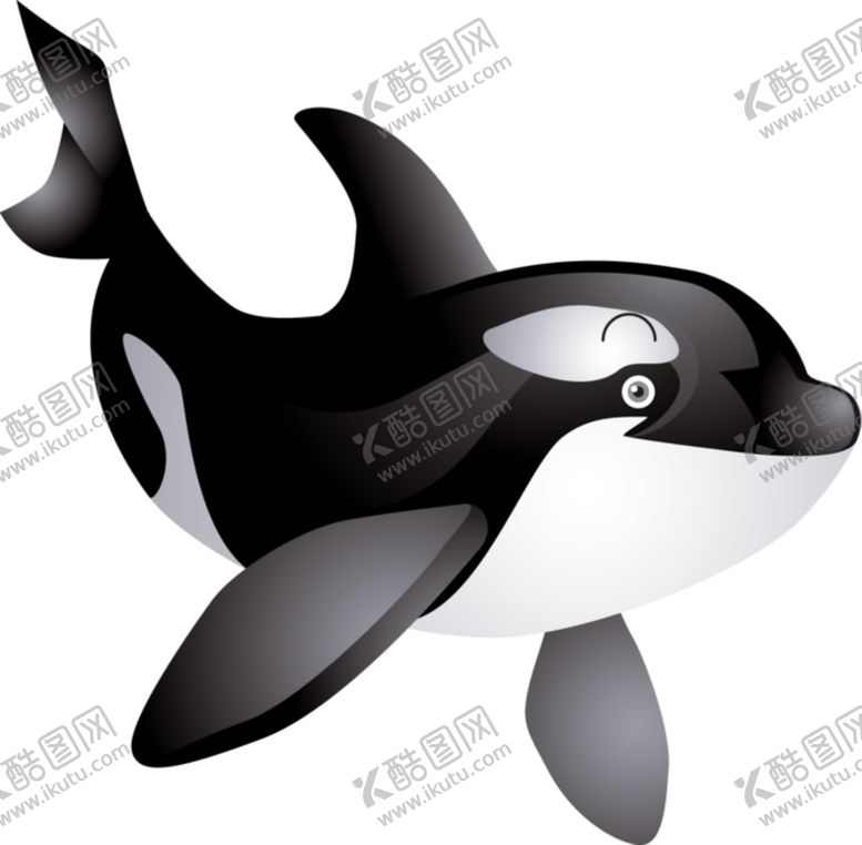 编号：48398106241841589983【酷图网】源文件下载-鲸鱼