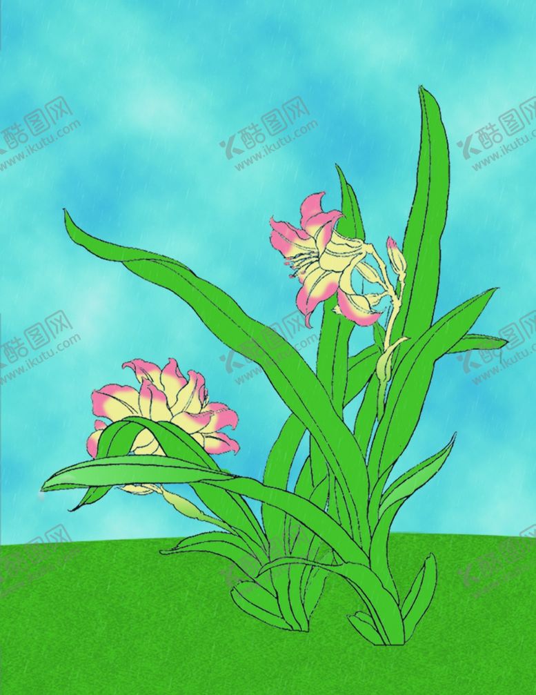 编号：78424506290101483183【酷图网】源文件下载-萱草