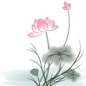 荷花素材立夏古典夏至叶插画