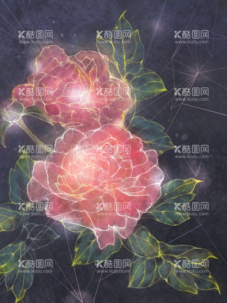 编号：29751409302301385267【酷图网】源文件下载-古典花卉插画牡丹