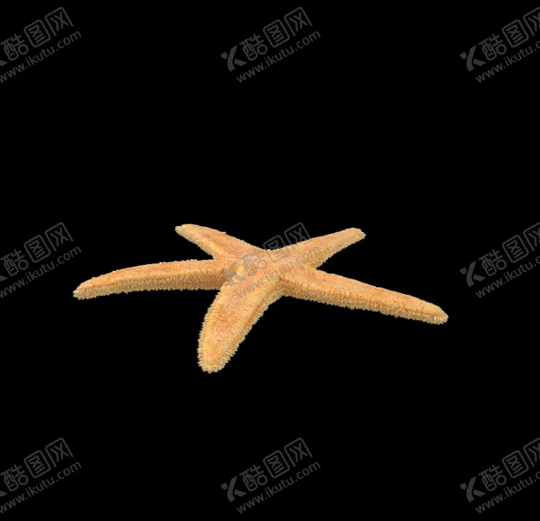 编号：12006206282311219654【酷图网】源文件下载-海洋生物