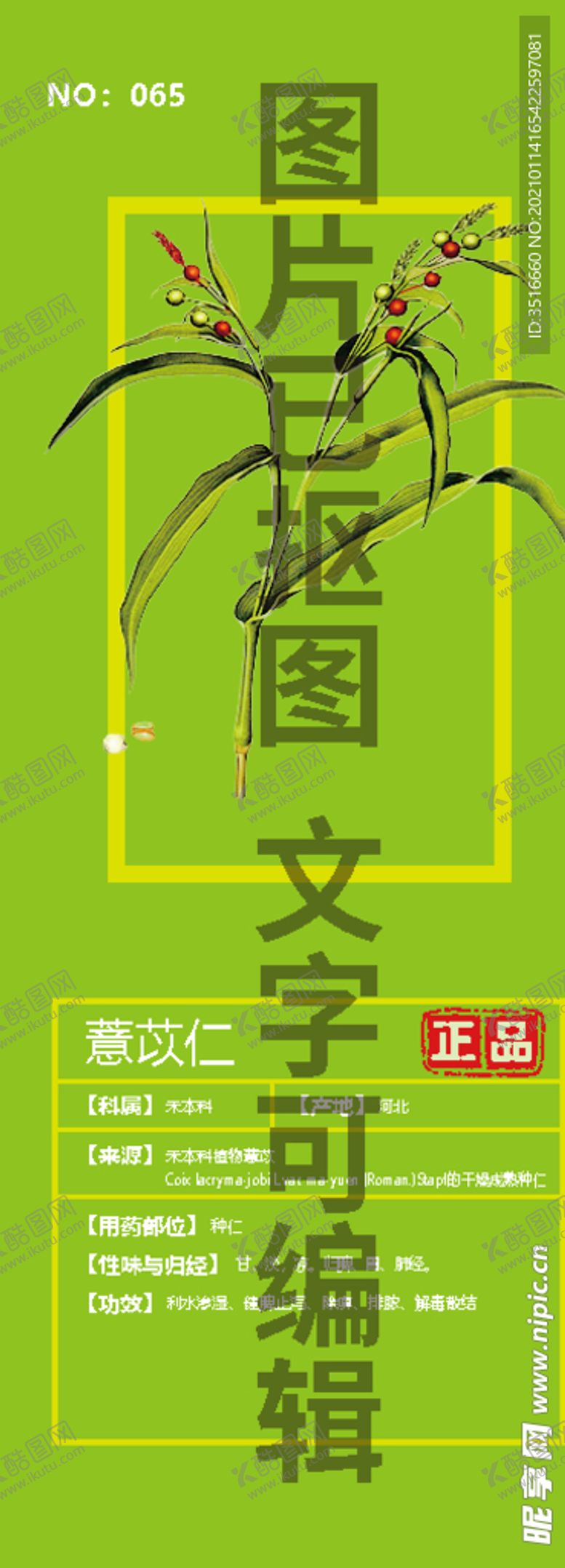编号：93652303311405102807【酷图网】源文件下载-薏苡仁