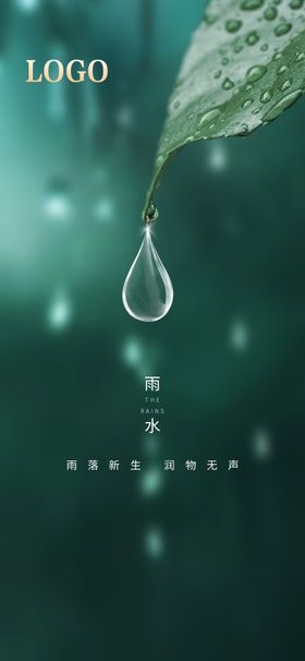 雨水节气海报