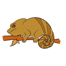 手绘卡通变色龙