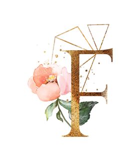 字母F