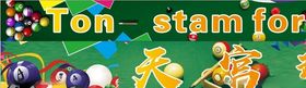 台球桌球