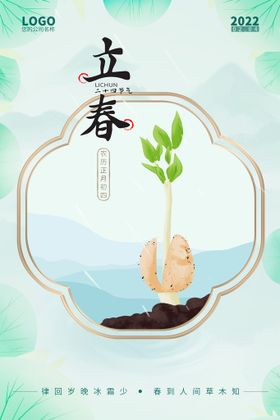 立春  二十四节气    海报