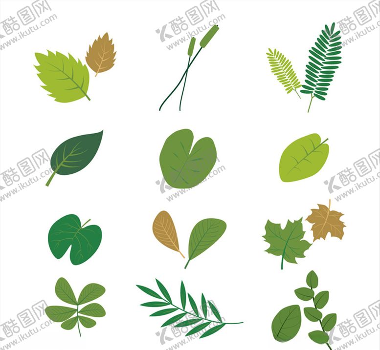 编号：26606510291057485982【酷图网】源文件下载-绿色树叶设计矢量素材