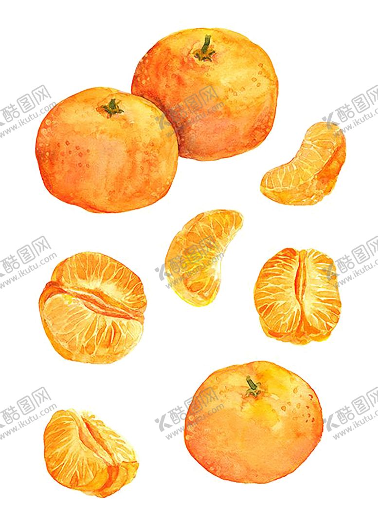 编号：72179709291221151982【酷图网】源文件下载-水果