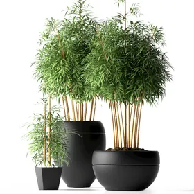 C4D模型绿色植物