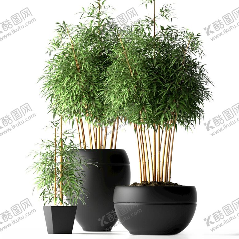编号：44202302082321007855【酷图网】源文件下载-C4D模型绿色植物
