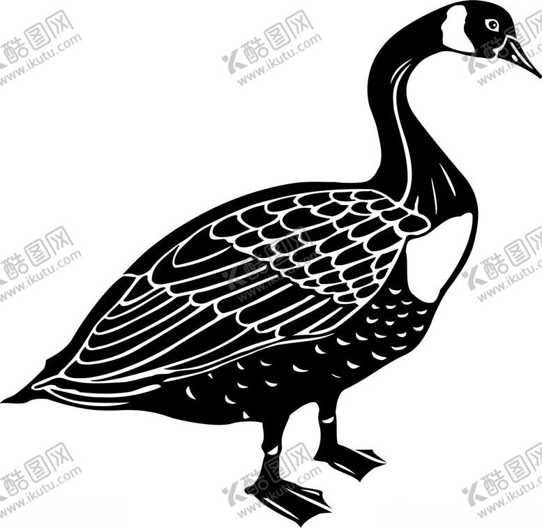 编号：89594302162313364385【酷图网】源文件下载-手绘鸟类插画