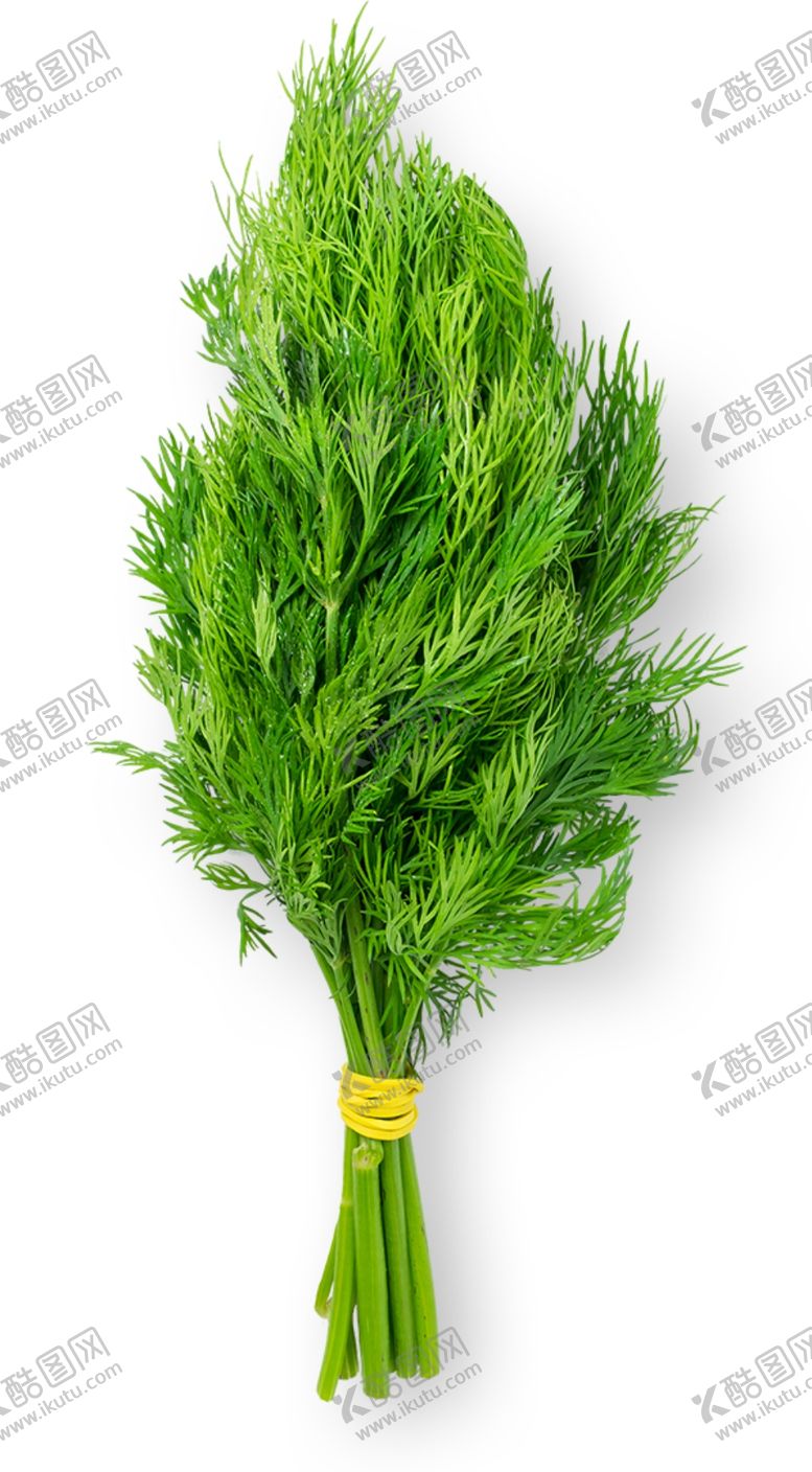编号：47850805021558059761【酷图网】源文件下载-茼蒿