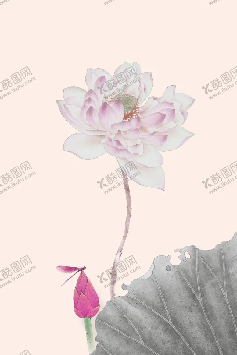 编号：10640704281729511422【酷图网】源文件下载-荷花素材