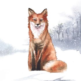 野生动物插图