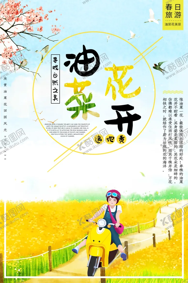 编号：34208106180152302969【酷图网】源文件下载-油菜花开