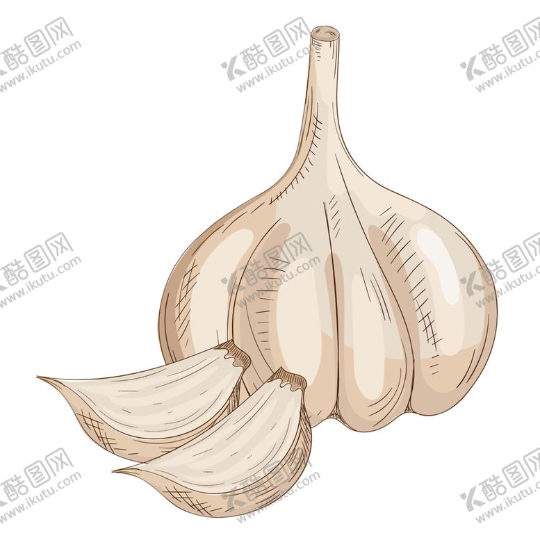 编号：41800705091758079316【酷图网】源文件下载-大蒜