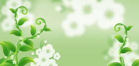 清新绿植花卉背景图