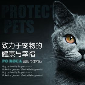 宠物海报