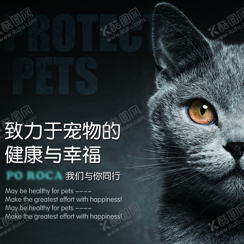 编号：32766909240407062891【酷图网】源文件下载-宠物海报宠物猫咪