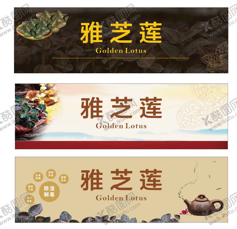 编号：49680101312357488297【酷图网】源文件下载-金线莲餐馆海报