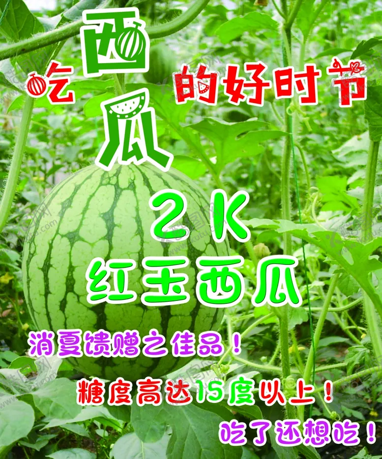 编号：77362106240124033301【酷图网】源文件下载-西瓜