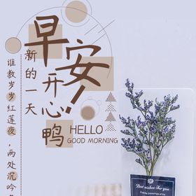 手机壁纸可爱漫画创意装饰画唯美画