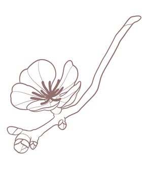 线描简约樱花